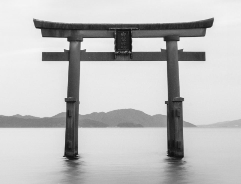 escape tsunami for brainrots script