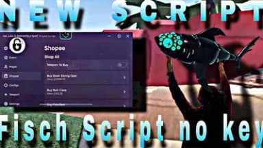 Private  Script